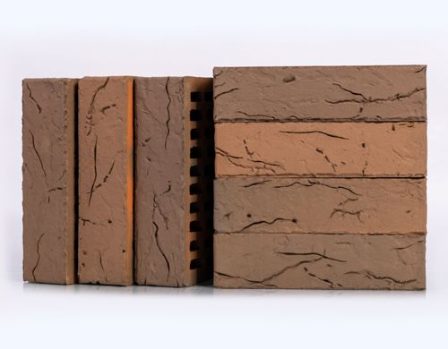 Кирпич керамический 1 НФ Flash МОТИВ Coral облицовочный  