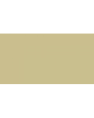 Гладкий лист RAL 1000 0,5мм